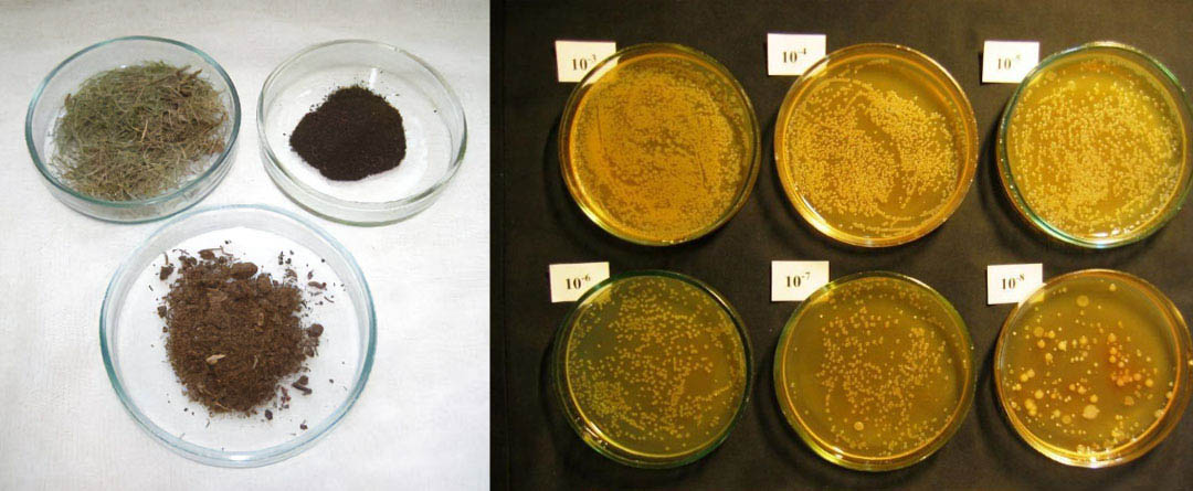 raksta vāka attēls Naftas absorbenti: definīcija un sastāvs