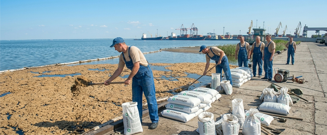 okładka artykułu Jak działają sorbenty: Kompleksowy przewodnik